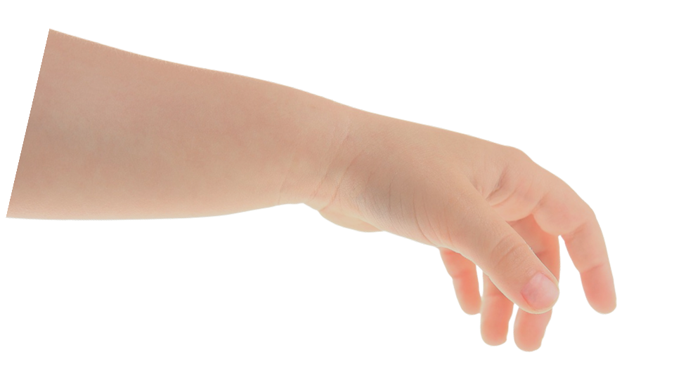 Human hand